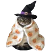 Autumn mood