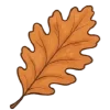 Осень 8 🍁