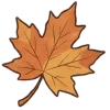 Осень 8 🍁