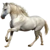 𝐆𝐚𝐦𝐞 𝐨𝐟 𝐓𝐡𝐫𝐨𝐧𝐞𝐬 𝐩𝐭.𝟐