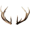 𝐆𝐚𝐦𝐞 𝐨𝐟 𝐓𝐡𝐫𝐨𝐧𝐞𝐬 𝐩𝐭.𝟐