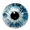 𝐆𝐚𝐦𝐞 𝐨𝐟 𝐓𝐡𝐫𝐨𝐧𝐞𝐬