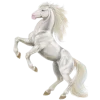𝐆𝐚𝐦𝐞 𝐨𝐟 𝐓𝐡𝐫𝐨𝐧𝐞𝐬