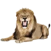 𝐆𝐚𝐦𝐞 𝐨𝐟 𝐓𝐡𝐫𝐨𝐧𝐞𝐬