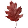 𝐆𝐚𝐦𝐞 𝐨𝐟 𝐓𝐡𝐫𝐨𝐧𝐞𝐬
