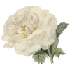𝐆𝐚𝐦𝐞 𝐨𝐟 𝐓𝐡𝐫𝐨𝐧𝐞𝐬