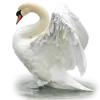 𝐆𝐚𝐦𝐞 𝐨𝐟 𝐓𝐡𝐫𝐨𝐧𝐞𝐬