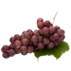 𝐆𝐚𝐦𝐞 𝐨𝐟 𝐓𝐡𝐫𝐨𝐧𝐞𝐬