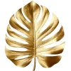𝐆𝐚𝐦𝐞 𝐨𝐟 𝐓𝐡𝐫𝐨𝐧𝐞𝐬