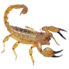 𝐆𝐚𝐦𝐞 𝐨𝐟 𝐓𝐡𝐫𝐨𝐧𝐞𝐬