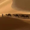 𝐆𝐚𝐦𝐞 𝐨𝐟 𝐓𝐡𝐫𝐨𝐧𝐞𝐬