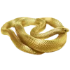 𝐆𝐚𝐦𝐞 𝐨𝐟 𝐓𝐡𝐫𝐨𝐧𝐞𝐬