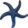 𝐆𝐚𝐦𝐞 𝐨𝐟 𝐓𝐡𝐫𝐨𝐧𝐞𝐬