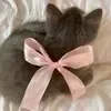 🐾 ➡️