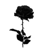 𝐟𝐫𝐨𝐦:
