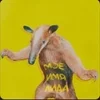 rave albums by RRQ ::