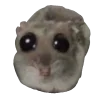 razkumar
