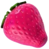 razkumar