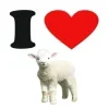 Sheep ➜