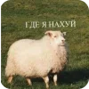 Sheep ➜