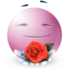 silly ꪆ𝜚 ⋆