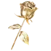 ㅤㅤㅤㅤㅤ 🦂