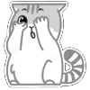 › 𝗥𝗔𝗡𝗗𝗢𝗠 𝗧𝗪𝗢