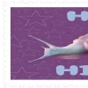 Оформаа-- ::