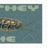 Оформаа-- ::