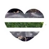 Оформаа-- ::