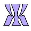 y2k ➜