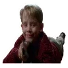 Home Alone | emoji