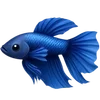 Ҕλεϲτꤎψμύ
