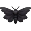 GOTHIC ЕЩЕ➡️