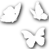 𓏺 Asra
