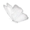 𓏺 Asra