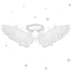𓏺 Asra