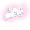╭┈┈┈┈ ᴘɪɴᴋ ┈┈┈┈╮ ✮ ✮