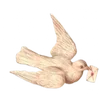 ╭┈┈┈┈ ᴘɪɴᴋ ┈┈┈┈╮ ✮ ✮