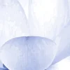𝑆𝑢𝑚𝑒𝑟𝑢 🍃🪷 | by