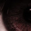 •• くꪜꪋ𝐦𝐩𝐢𝐫ꫀ ꫝ᥆ꪊ𝐬𝐞⡈ ᴸᴺ⡠