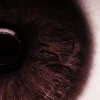 •• くꪜꪋ𝐦𝐩𝐢𝐫ꫀ ꫝ᥆ꪊ𝐬𝐞⡈ ᴸᴺ⡠