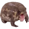 Frog by