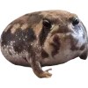 Frog by