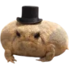 Frog by