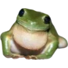 Frog by