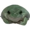 Frog by
