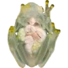 Frog by