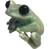 Frog by