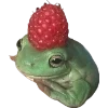 Frog by